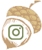 Acorn Birth Center Instagram